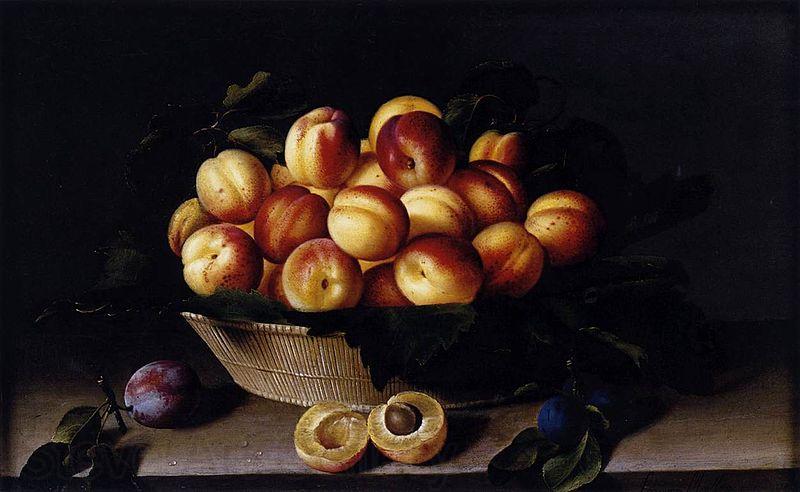 Louise Moillon Basket of Apricots Spain oil painting art